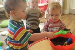 Newlands Nursery Lancaster